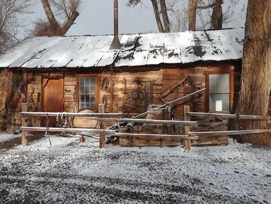 Austin'S Chuckwagon Motel トーリー エクステリア 写真
